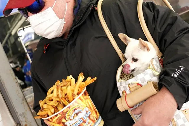 A dog named Izzy licks its chops as Craig Morland of Crofton, Maryland, buys a bucket of Thrashers famous fries on the first day of eased coronavirus disease (COVID-19) restrictions for the beach and boardwalk in Ocean City, Maryland, U.S., May 9, 2020. (Photo by Kevin Lamarque/Reuters)