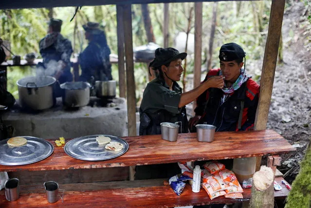 Yuli and Eduar of the 51st Front of the Revolutionary Armed Forces of Colombia (FARC) eat at a camp in Cordillera Oriental, Colombia, August 16, 2016. (Photo by John Vizcaino/Reuters)
