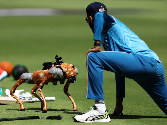 A robot dog is seen before the Gujarat Titans versus Delhi Capitals match in the Indian Premier League in Ahmedabad, India on April 19, 2025. (Photo by Amit Dave/Reuters)