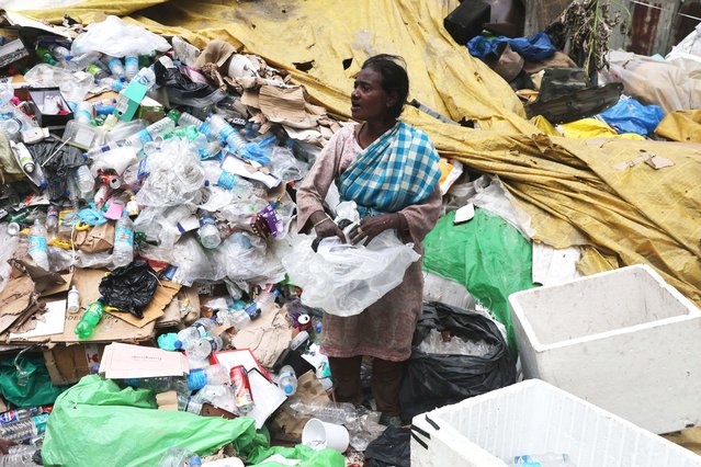 A woman sorts single-use plastics at a garbage collection center in Srinagar, the summer capital of Indian Kashmir, 04 June 2025. The Indian government launched a nationwide campaign titled “One Nation, One Mission: End Plastic Pollution” ahead of World Environment Day, which has been celebrated annually on 05 June since 1973 across the world. This year the environment day will focus on ending plastic pollution. (Photo by Farooq Khan/EPA)