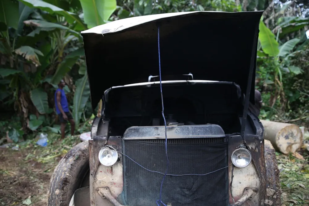 Trees, Planks and Sawdust – Logging in Nigeria