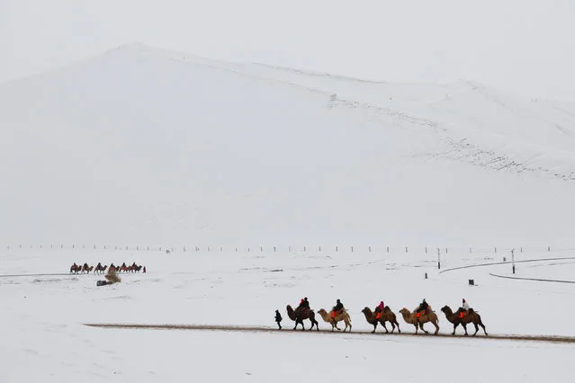 Tourists ride camels as they visit the snow-covered desert at Mingsha Shan in Dunhuang, Gansu province, China January 29, 2018. (Photo by Reuters/China Stringer Network)
