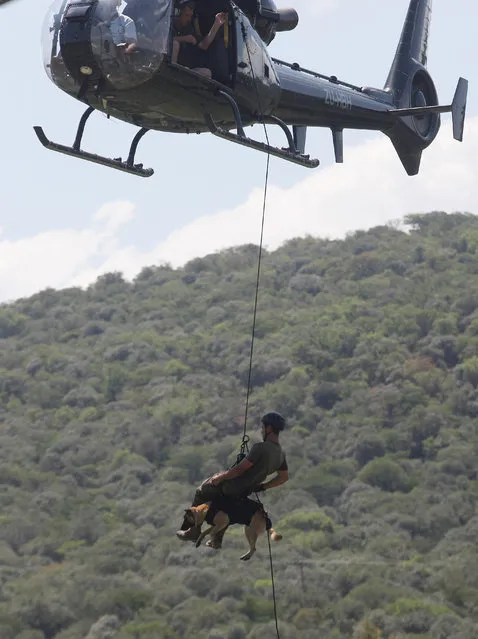 In this photo taken Wednesday, November 26 2014 a handler and his dog abseil from a helicopter, in a simulated exercise showing training at an academy run by the Paramount Group, near Rustenburg, South Africa. (Photo by Denis Farrell/AP Photo)