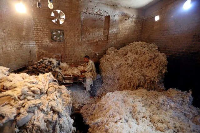A worker prepares wool for production in a factory in Beheira Governorate, Egypt September 3, 2016. (Photo by Mohamed Abd El Ghany/Reuters)