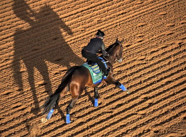 The Saudi Cup contender Country Grammer gallops in the morning track work at the King Abdulaziz racetrack in Riyadh, Saudi Arabia, Thursday, February 23, 2023. The 2022 Saudi Cup runner-up to Emblem Road won the last year's Dubai World Cup. (Photo by Martin Dokoupil/AP Photo)