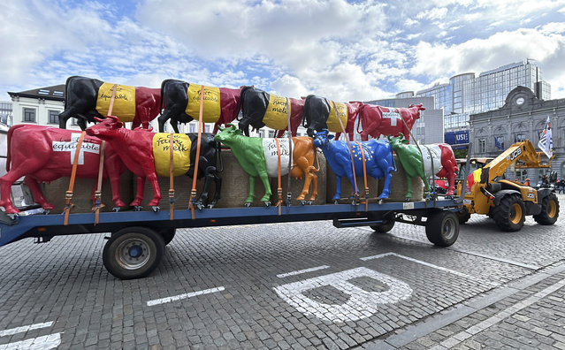 A tractor pulls a trailer filled with plastic cows prior to a protest of farmers outside of a meeting of EU agriculture ministers in Brussels, Monday, May 27, 2024. European Union agriculture ministers met in Brussels on Monday to discuss the current situation in the agricultural sector. (Photo by Mark Carlson/AP Photo)