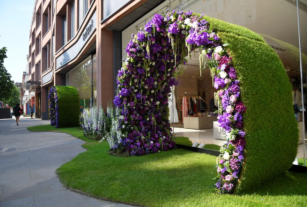 The Art of Flowers: RHS Chelsea Flower Show 2018