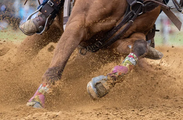 A rider reins her horse around a barrel during a local competition at the National Barrel Horse Association at Triple Creek Farm in Lothian, Maryland on April 8, 2023. Barrel racing is a rodeo event in which a horse and rider attempt to complete a cloverleaf-shaped course around preset barrels in the shortest time. (Photo by Andrew Caballero-Reynolds/AFP Photo)