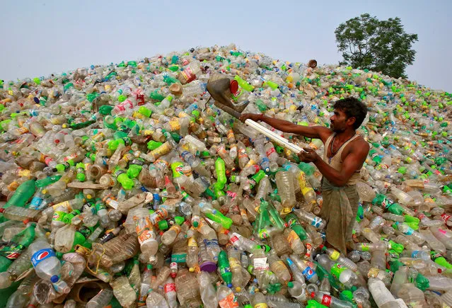 A man makes a heap of plastic bottles at a junkyard on World Environment Day in Chandigarh, India, June 5, 2018. (Photo by Ajay Verma/Reuters)