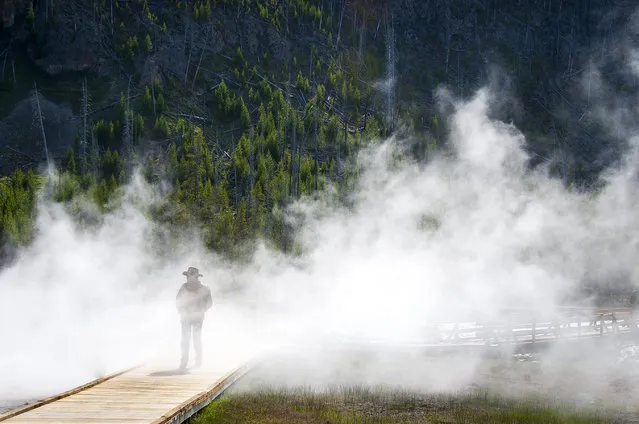 “Geothermal Steam”. Steam from geothermal hot springs shroud a visitor in Yellowstone National Park, Wyoming, U.S.A. (Photo and caption by Helen Fong/National Geographic Traveler Photo Contest)