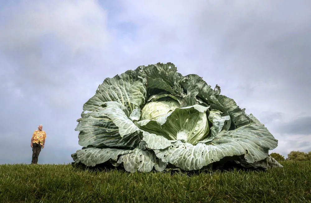 The Day in Photos – September 17, 2018