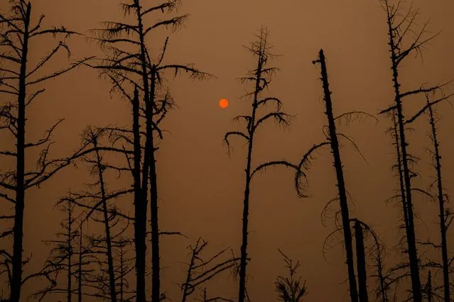 This picture taken on July 27, 2021, shows the sunlight filtered through smoke from burning forests near the village of Magaras in the republic of Sakha, Siberia. Russia is plagued by widespread forest fires, with the Sakha-Yakutia region in Siberia being the worst affected. According to many scientists, Russia -- especially its Siberian and Arctic regions – is among the countries most exposed to climate change. The country has set numerous records in recent years and in June 2020 registered 38 degrees Celsius (100.4 degrees Fahrenheit) in the town of Verkhoyansk – the highest temperature recorded above the Arctic circle since measurements began. (Photo by Dimitar Dilkoff/AFP Photo)