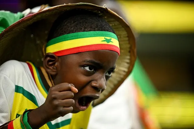 A young Senegal fan cheers prior to the Qatar 2022 World Cup Group A football match between Senegal and the Netherlands at the Al-Thumama Stadium in Doha on November 21, 2022. (Photo by Dylan Martinez/Reuters)