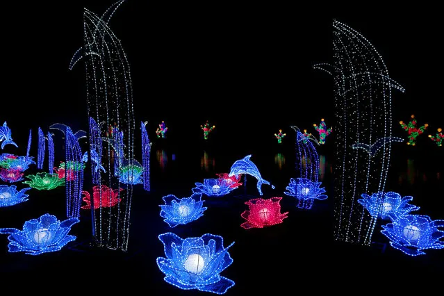 A light display is illuminated during the The Magical Lantern Festival marking the Chinese new year at Chiswick House in London, Britain January 18, 2017. (Photo by Neil Hall/Reuters)