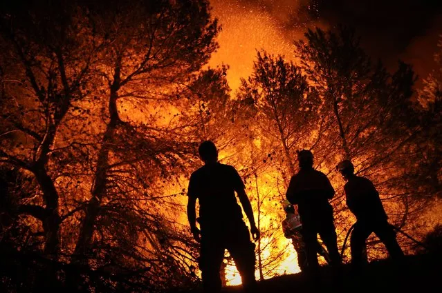 Firefighters of Alcoy and Elda try to extinguish a fire in Torre de Macanes near Alicante, on August 13, 2012. (Photo by Pedro Armestre/AFP Photo)