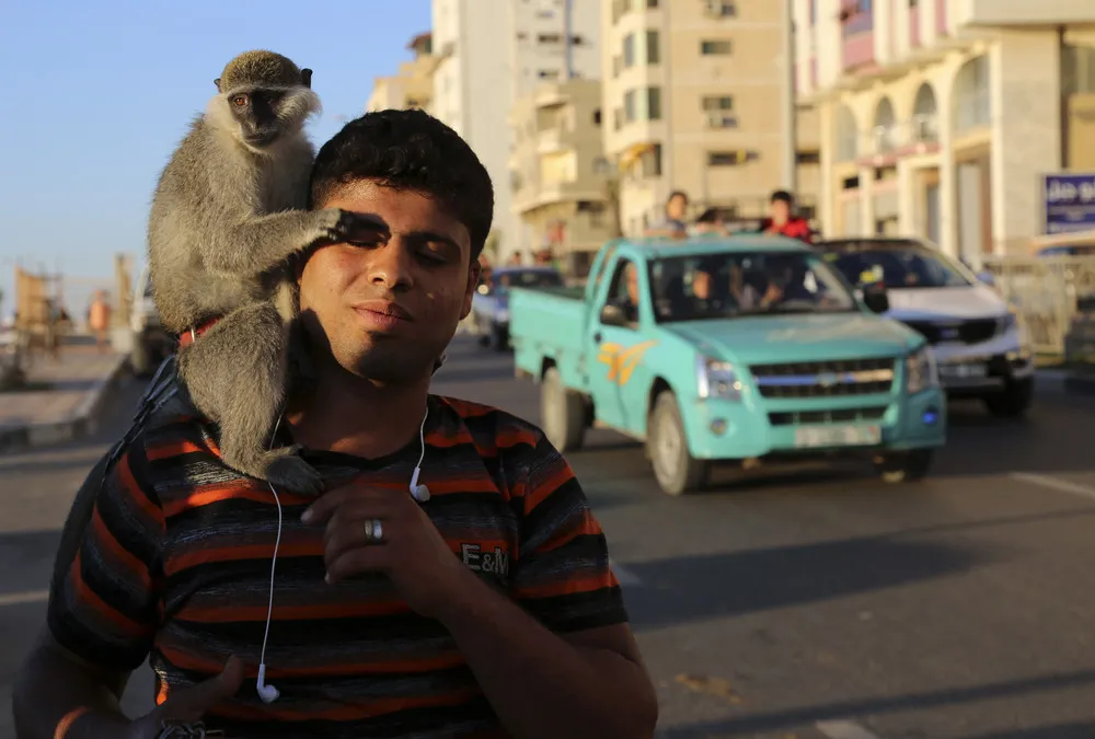 The Week in Pictures: May 1 – May 8, 2015. Part 6/6