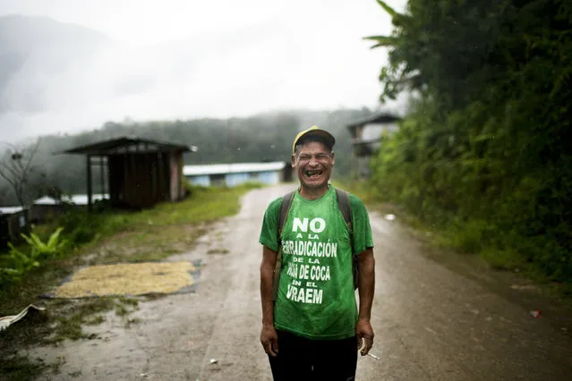 In this March 15, 2015 photo, Fortunato Farfan laughs while posing for a photo in La Mar, province of Ayacucho, Peru. Fortunato is wearing a T-shirt with a phrase that reads in Spanish; “No to coca eradication in the VRAEM”. VRAEM is the acronym for Valley of the Apurimac, Ene and Mantaro rivers, where sixty percent of Peru's cocaine originates. (Photo by Rodrigo Abd/AP Photo)