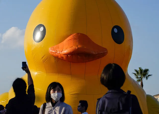 The “Rubber Duck” floating sculpture designed by Florentijn Hofman is seen displayed as a part of one day art event Suminoe Art Beat 2021 at the Creative Center Osaka on November 14, 2021 in Osaka, Japan. (Photo by Christopher Jue/Getty Images)