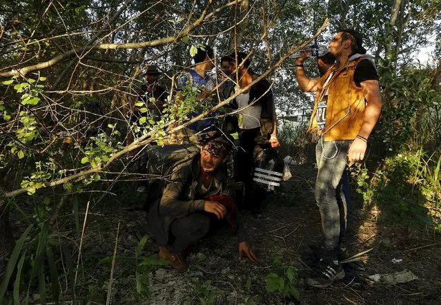 A group of Syrian immigrants hide as they walk towards Greece's border with Macedonia in Kilkis prefecture May 14, 2015. (Photo by Yannis Behrakis/Reuters)