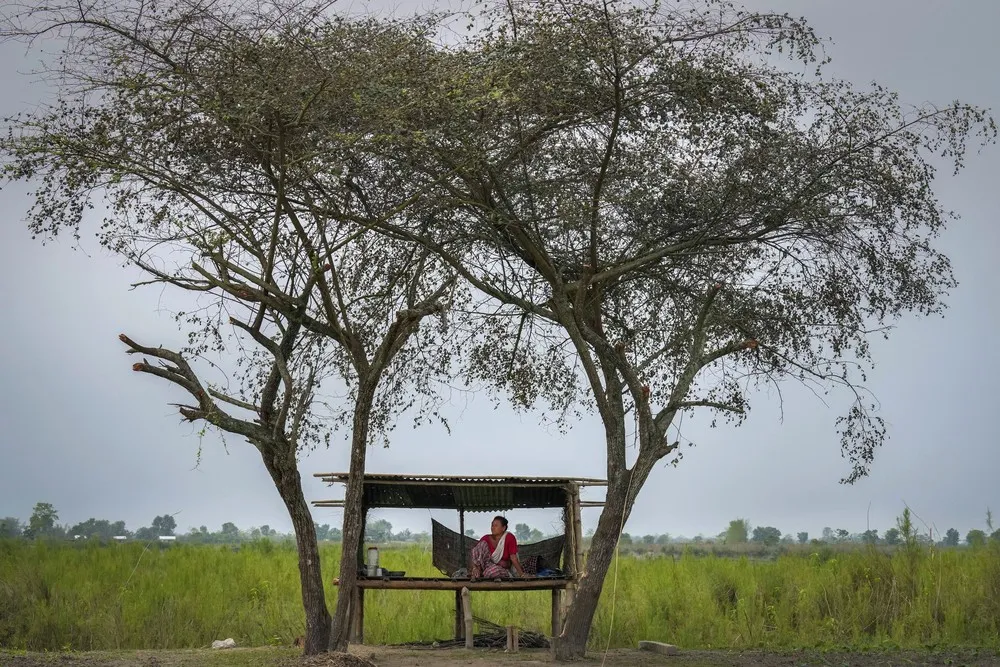 A Look at Life in India