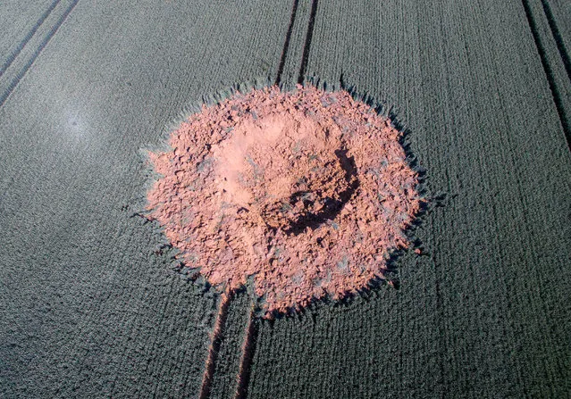 An aerial view shows a crater on a barley field near Ahlbach, Germany on June 24, 2019. Experts assume that an air bomb of the WWII probably exploded at a depth of several metres as a result of the triggering of the chemical detonator. (Photo by Boris Roessler/dpa/AFP Photo)