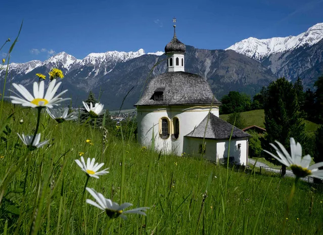 A small chapel stands on a hill in front of the North Chain mountains in Innsbruck, Austria, Saturday, June 1, 2019. Snow persists on the peaks while lower slopes sport summer flowers with lush green fields. (Photo by Michael Probst/AP Photo)