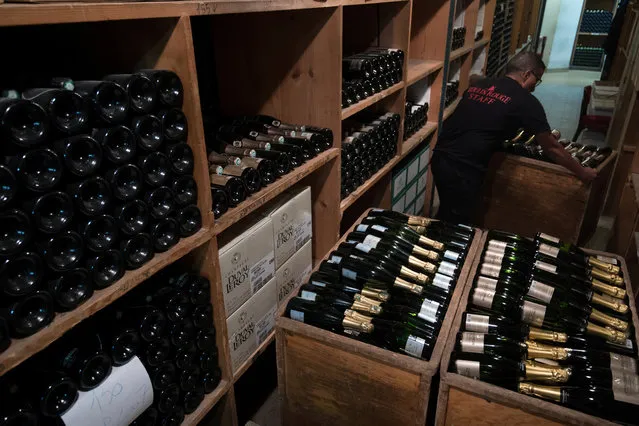 An employee pushes a trolley with champagne bottles in the cellar at the Moulin Rouge in Paris, France, September 4, 2018. Just a few of the 250,000 bottles of fizz Moulin Rouge audiences get through per year. (Photo by Philippe Wojazer/Reuters)