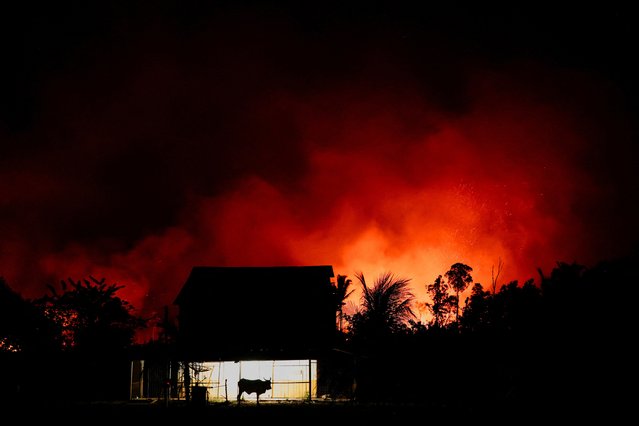 A view of a farm near a forest fire in the Amazon in an area of the Trans-Amazonian Highway BR230 in Labrea, Amazonas state, Brazil on September 4, 2024. (Photo by Bruno Kelly/Reuters)