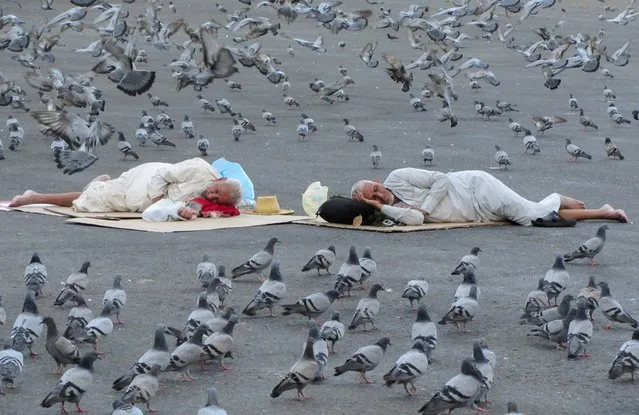 Pigeons surround pilgrims outside the the Grand Mosque in the Saudi Arabia's holy city of Mecca, Tuesday, July 5, 2022. Saudi Arabia is expected to receive one million Muslims to attend Hajj pilgrimage, which will begin on July 7, after two years of limiting the numbers because coronavirus pandemic. (Photo by Amr Nabil/AP Photo)