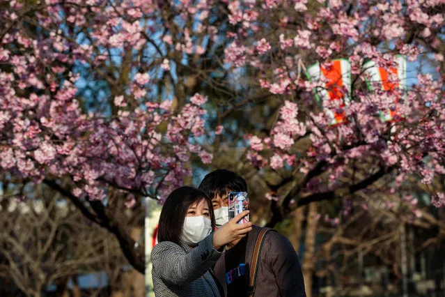 A couple take a selfie with cherry blossoms at Ueno park in the Japanese capital Tokyo on March 19, 2020. The Tokyo government has urged residents to refrain from joining parties at parks during the famed cherry blossom season due the COVID-19 coronavirus. (Photo by Behrouz Mehri/AFP Photo)