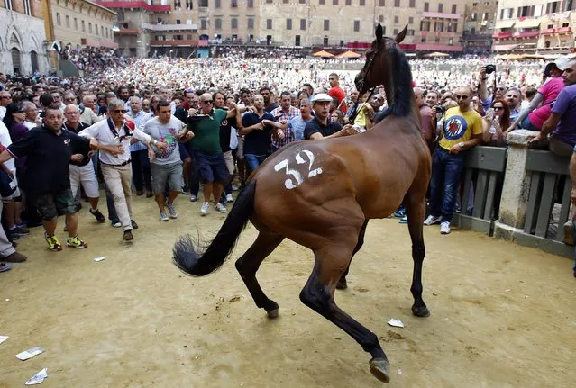 The horse of the “Civetta” or Owl parish is escorted by its groom and followed by supporters as they leave Del Campo square in Siena August 13, 2014. Every year on July 2 and August 16, almost without fail since the mid-1600s, 10 riders compete bareback around Siena's shell-shaped central square in a bid to win the Palio, a silk banner depicting the Madonna and child. (Photo by Stefano Rellandini/Reuters)