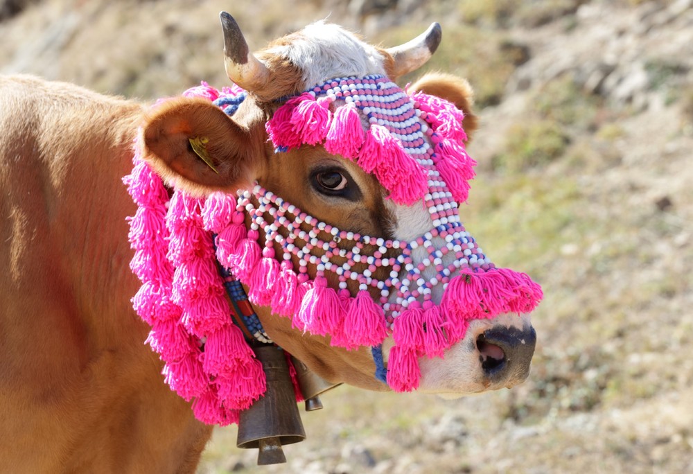 Pictures of the Year 2023, Part 173/224