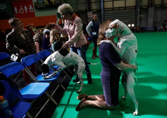 A dog owner hugs her English Pointer on the second day of the Crufts Dog Show in Birmingham, Britain, March 6, 2020. (Photo by Eddie Keogh/Reuters)