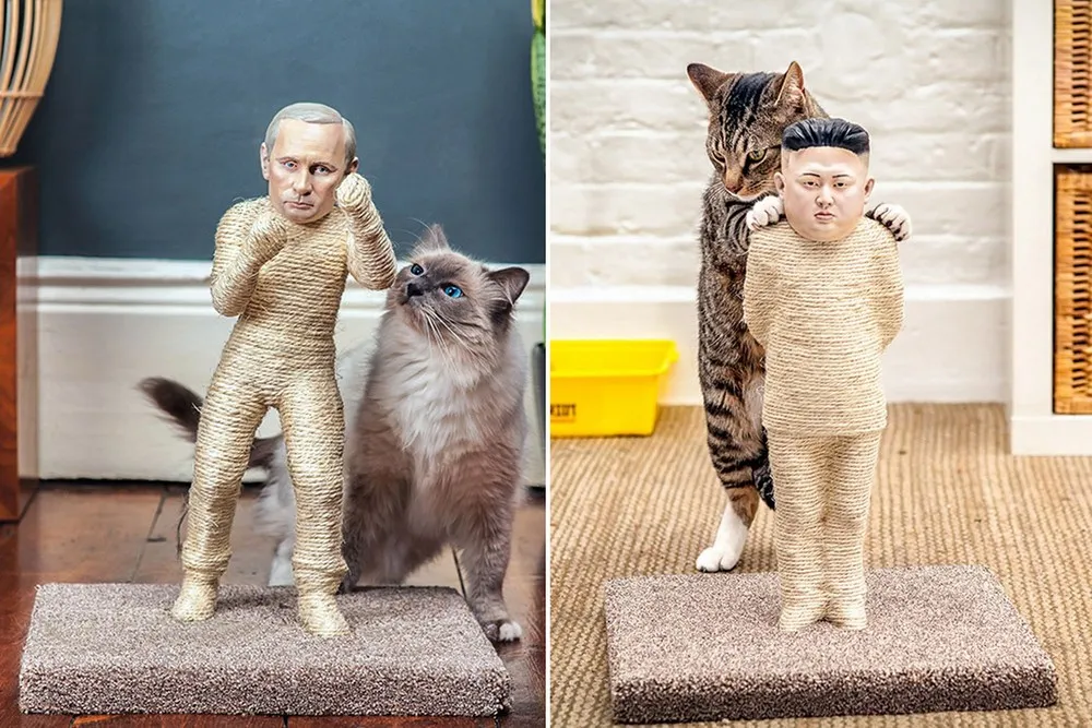 Cats Attack Kim Jong-un and Vladimir Putin