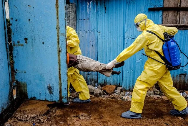 Medical staff carry James Dorbor, 8, who is suspected of having Ebola, into a treatment facility in Monrovia, Liberia, on September 5, 2014. Ebola – the reality and the hysteria over it – is having a serious economic impact on Guinea, Liberia and Sierra Leone, three nations already at the bottom of global economic and social indicators. (Photo by Daniel Berehulak/The New York Times)