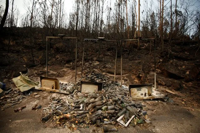 Glass containers are seen after a forest fire near Arouca, Portugal August 13, 2016. (Photo by Rafael Marchante/Reuters)