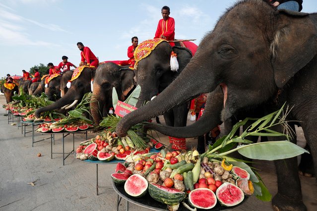Elephants enjoy various fruits and plants during an all-you-can-eat elephant buffet to mark the National Elephant Day at the Ayutthaya Elephant Palace and Royal Kraal in the world heritage city of Ayutthaya, Thailand, 13 March 2025. The National Elephant Day has been observed annually on 13 March since 1998 when it was established by the Thai government, in an effort to protect and conserve Thai elephants, who are part of the Asian elephant family classified as an endangered species. (Photo by Rungroj Yongrit/EPA/EFE)