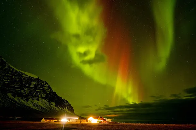 This rare aurora looks just like the Northern frights as a spooky face was caught on camera looming ominously in the sky. The unusual sight was photographed by Tom Mackie during a trip to Iceland in this year. The bizarre vision – which also appears to resemble the iconic Christmas Scrooge The Grinch – hovers with a weird green-red glow in the night sky. Below the frightening spectre a small isolated clutch of buildings can be seen as if caught in the creatures gaze... (Photo by Tom Mackie/Caters News)