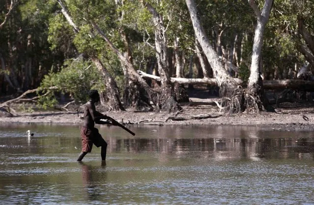 Australian Aboriginal hunter Roy Gaykamangu of the Yolngu people walks across a billabong while hunting a crocodile near the “out station” of Yathalamarra, located on the outksirts of the community of Ramingining in East Arnhem Land November 22, 2014. (Photo by David Gray/Reuters)