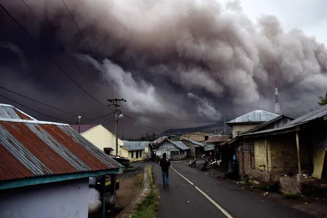 A man walks in Karo on Sumatra island as Mount Sinabung spews volcanic ash on November 1, 2016. Sinabung roared back to life in 2010 for the first time in 400 years and after another period of inactivity it erupted once more in 2013, and has remained highly active since. (Photo by Tibta Pangin/AFP Photo)