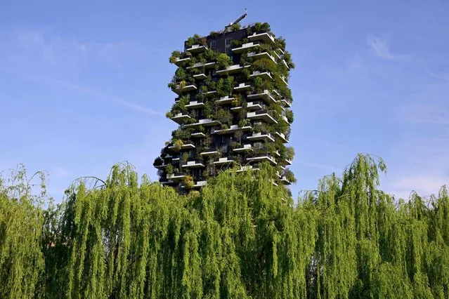 One of a pair of residential towers called Bosco Verticale or Vertical Forest, in the Porta Nuova district of Milan, designed and built Boeri Studio, pictured on April 12, 2022. According to Stefano Boeri, the building was inspired by Italo Calvino's 1957 novel The Baron in the Trees, in which the protagonist decides to abandon the ground and live in the trees for the rest of his life. The project was inaugurated in October 2014. (Photo by Miguel Medina/AFP Photo)