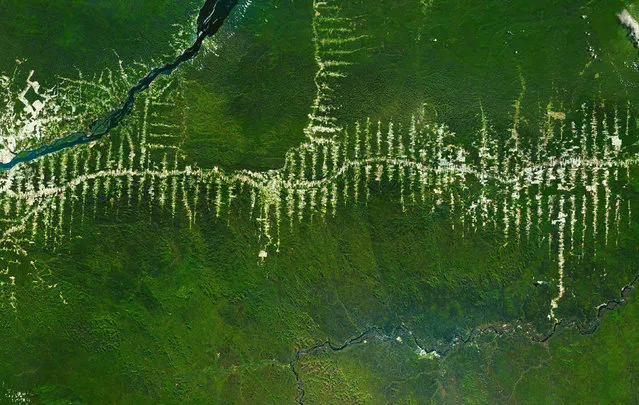 Brazilian Amazon Deforestation. (Photo by Benjamin Grant/Digital Globe/Caters News)