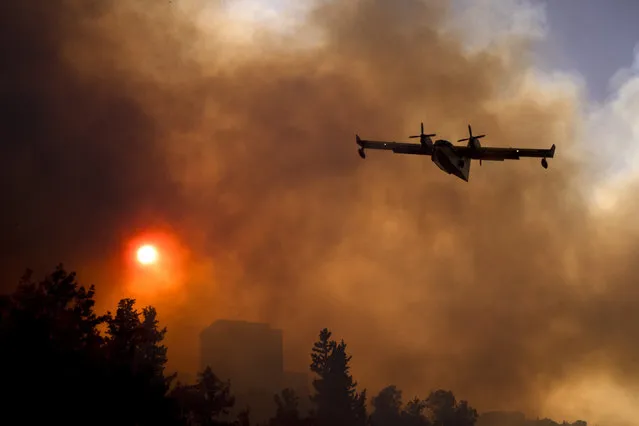 An Israeli firefighter plane helps extinguish a fire in the northern Israeli port city of Haifa on November 24, 2016. Hundreds of Israelis fled their homes on the outskirts of the country's third city Haifa with others trapped inside as firefighters struggled to control raging bushfires, officials said. (Photo by Jack Guez/AFP Photo)