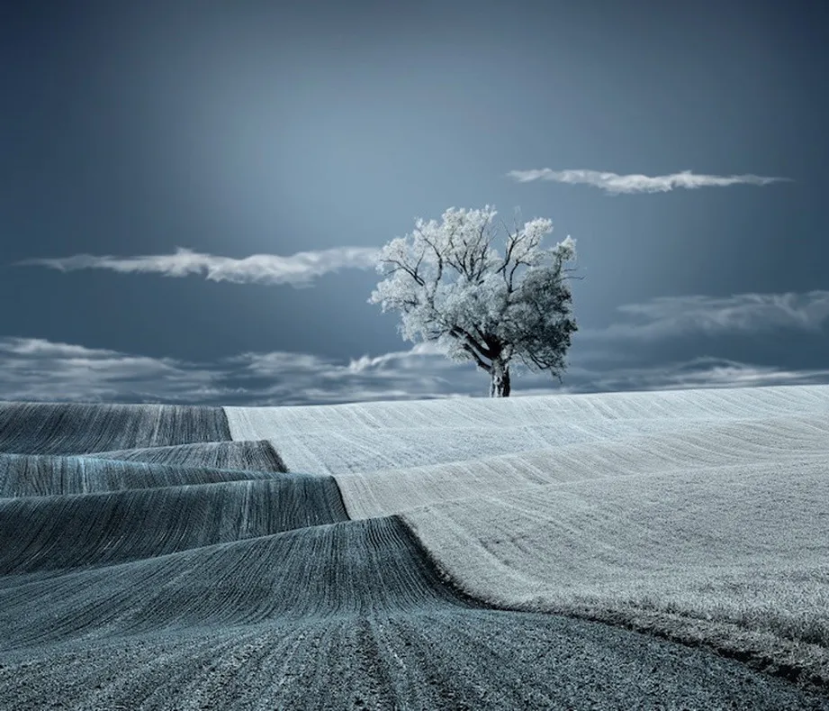 Beautiful Blue World by Caras Ionu