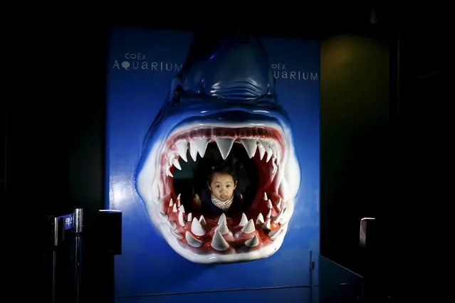 A girl poses for photographs inside a shark-shaped sculpture at an aquarium in Seoul, South Korea, January 12, 2016. (Photo by Kim Hong-Ji/Reuters)
