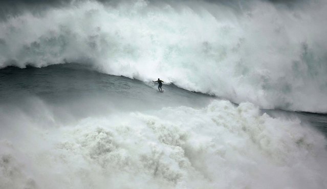 Big-wave surfer Garrett McNamara of the U.S. drops in on a large wave at Praia do Norte, in Nazare, Portugal, on November 1, 2013. McNamara, who lives in Haleiwa, Hawaii, won the Biggest Wave title at the 2012 Billabong XXL Big Wave Awards with his world record 78-foot wave ridden at Praia do Norte on November 1, 2011. McNamara has returned to Nazare because he wants to try to beat the record again. (Photo by Rafael Marchante/Reuters)