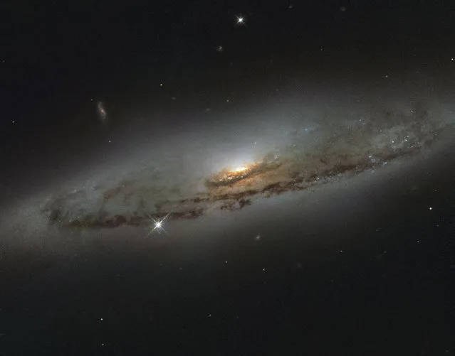 The spiral galaxy NGC 4845, located over 65 million light-years away in the constellation of Virgo (The Virgin) is shown in this NASA/ESA Hubble Space Telescope image released on January 8, 2016. The galaxy's orientation clearly reveals the galaxy's striking spiral structure: a flat and dust-mottled disc surrounding a bright galactic bulge. NGC 4845's glowing center hosts a gigantic version of a black hole, known as a supermassive black hole. (Photo by Reuters/NASA)