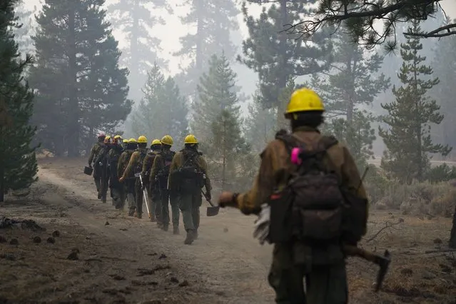 A hotshot crew from Tahoe Hotshots hikes along a trail in Meyers, Calif., Friday, September 3, 2021. Fire crews took advantage of decreasing winds to battle a California wildfire near popular Lake Tahoe and were even able to allow some people back to their homes but dry weather and a weekend warming trend meant the battle was far from over. (Photo by Jae C. Hong/AP Photo)