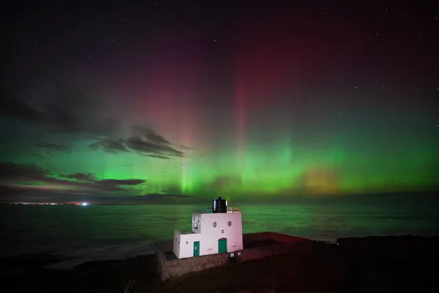 The aurora borealis, also known as the northern lights, appears over Bamburgh lighthouse on the north-east coast of England on November 6, 2023. (Photo by Owen Humphreys/PA Wire)