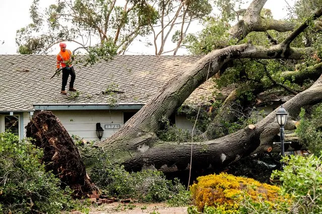 Workers clear a tree that fell onto a home during heavy wind and rain on Sunday, February 4, 2024, in San Jose, Calif. (Photo by Noah Berger/AP Photo)